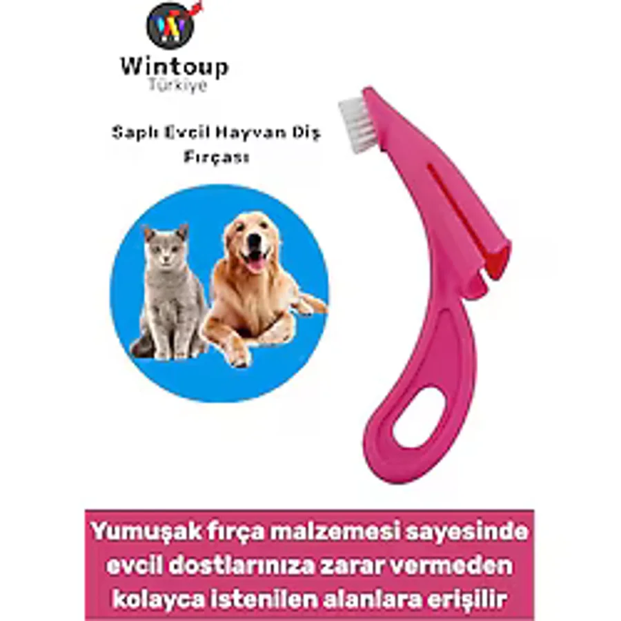 Ergonomik Kolay Tutuş Zararsız Yumuşak Fırça Yavru Kedi Köpek Evcil Hayvan Diş Fırçası
