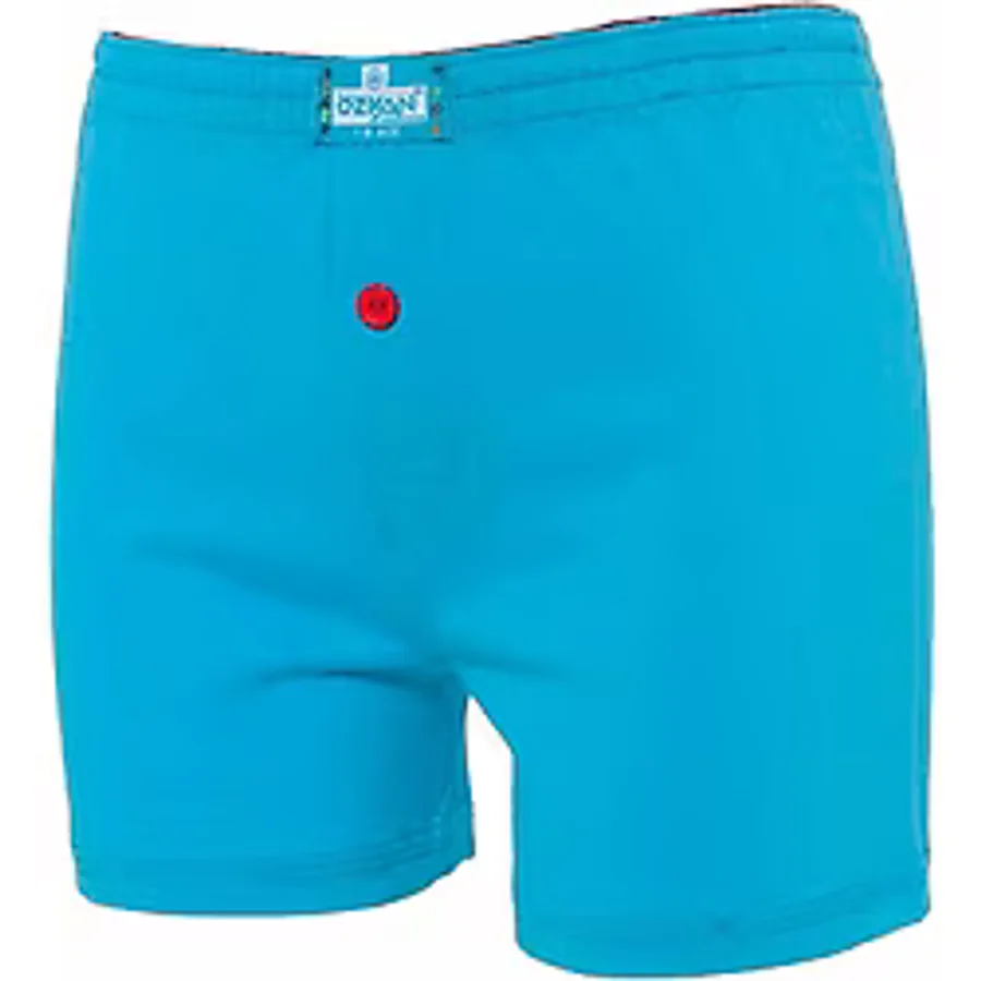 Erkek Çocuk Boxer Turkuaz Kompedan K31223
