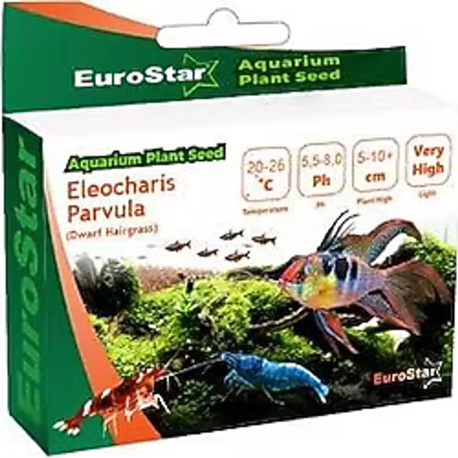 Eurostar Bitki Tohumu Eleocharis Parvula