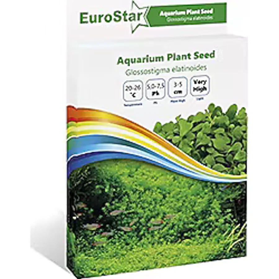 Eurostar Glossostigma Elatinoides Akvaryum Bitkisi Tohumu