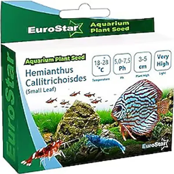 Eurostar Hemianthus Callitrichoides Akvaryum Bitkisi Tohumu