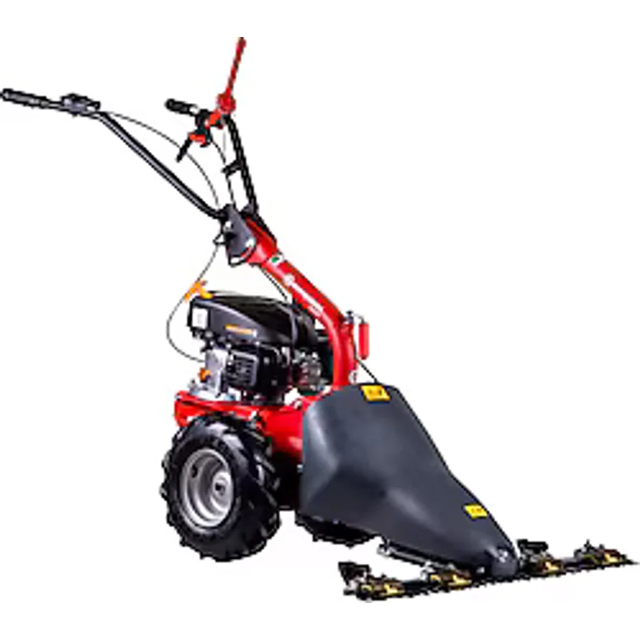 Eurosystems M210 Benzinli Ot Biçme Makinesi