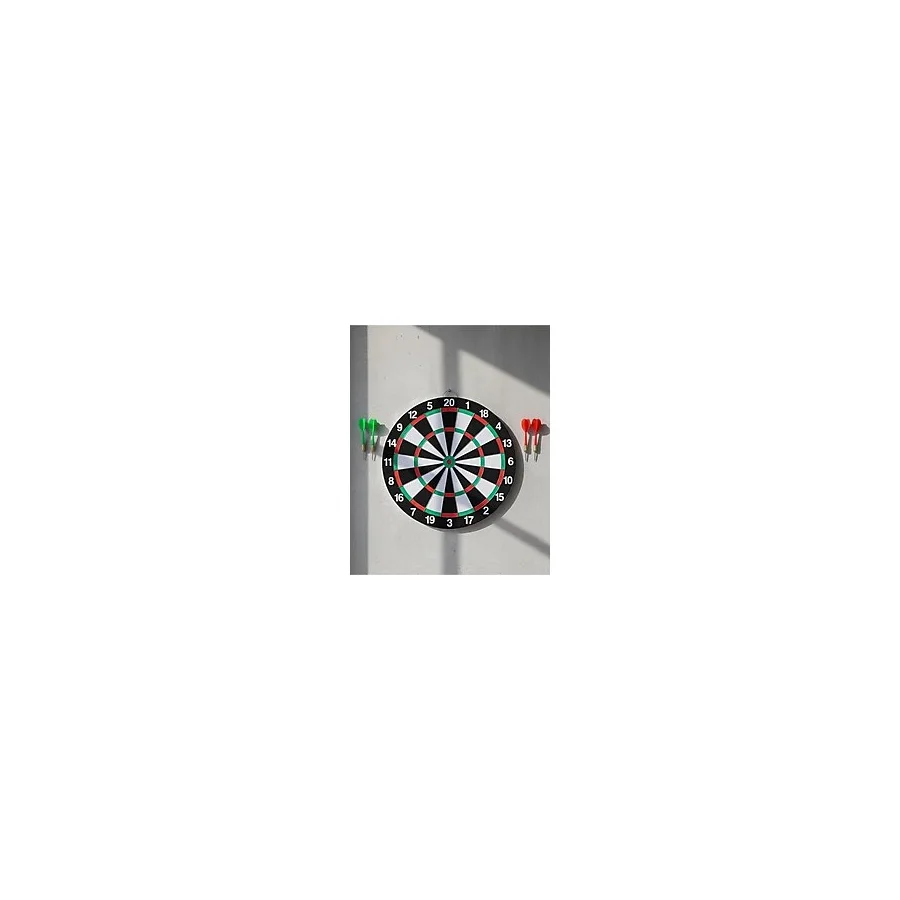 Ev ve Oyun Alanları İçin Dart Tahtası 12 İnç 4 Dart Oku Dahil