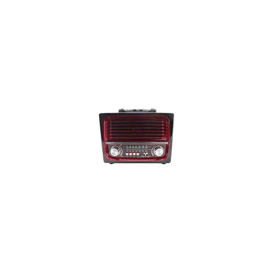 Everton RT-850 USB-SD Bluetooth FM Radyolu Müzik Kutusu