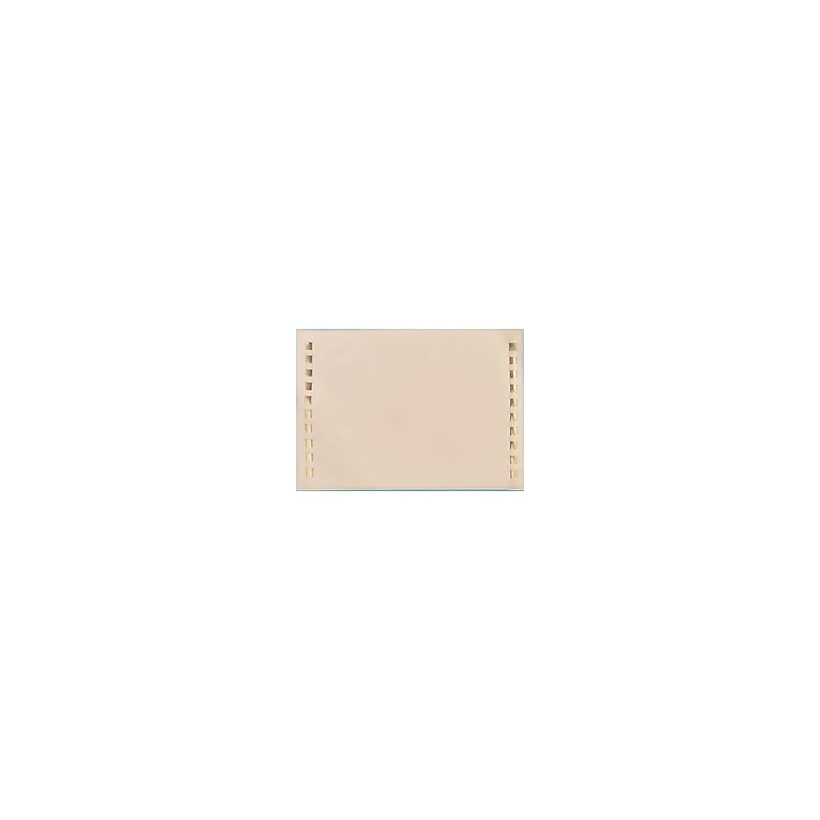 Evidea Kitchen Deri Amerikan Servis - Bej - 32X44 cm - 32 x 44 cm
