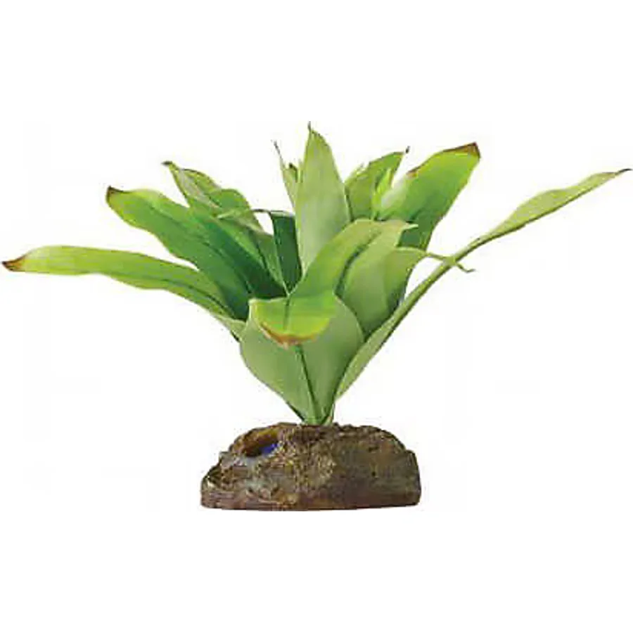 Exo Terra Küçük İpek Neoregelia Plastik Teraryum Bitkisi