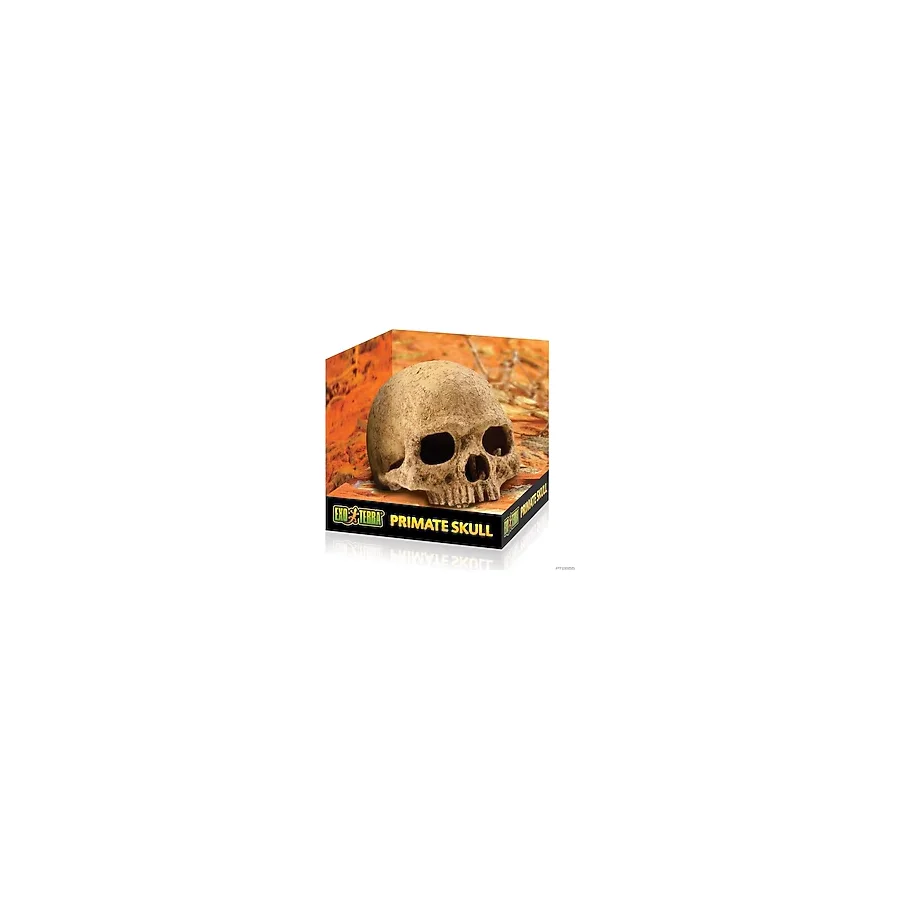 Exo Terra Primate Skull Kafa Tası Şekilli Sürüngen Yuvası