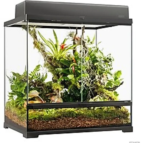 Exo Terra Pro Terrarium M Tall - 60 x 45 x 60 Cm