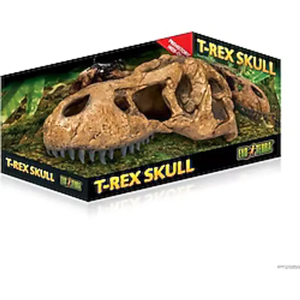 Exo Terra T - Rex Skull Dinazor Kafa Tası Şekilli Sürüngen Yuvası