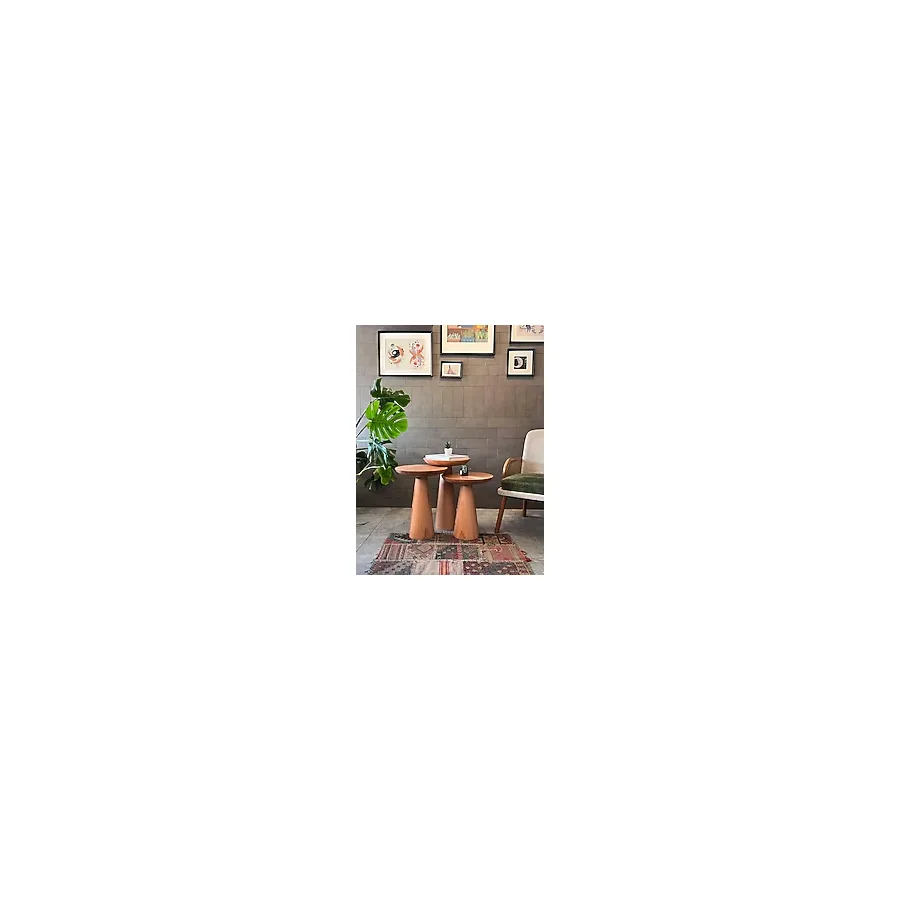 Fagus Wood 3'lü Zigon Mantar Sehpa Mushroom Masif Ahşap Modern Yan Sehpa Takımı