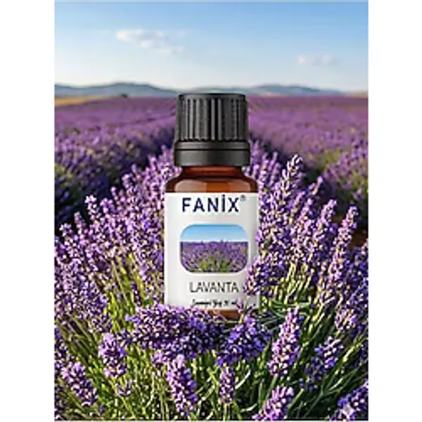 Fanix Uçucu Yağ Esansiyel Yağ Uçucu Koku Yağı Buhurdanlık Yağı Hava Nemlendiriciler İçin Uçucu Yağı Difüzör Esansı Aromaterapi Yağı Hava Nemlendirici 20 ml - Şeffaf - LAVANTA