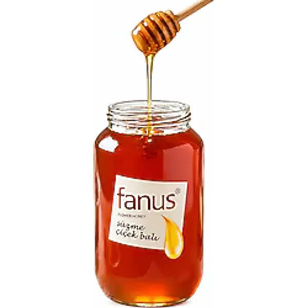 Fanus Çiçek Balı 2 kg