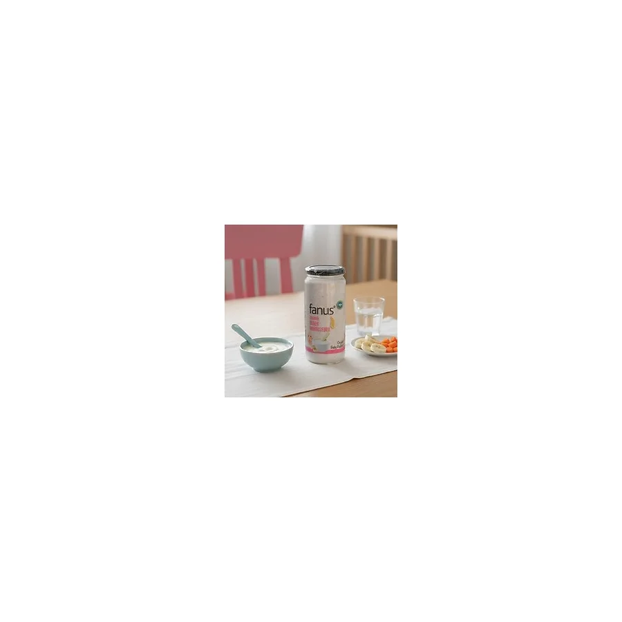 Fanus Organik Bebek Muhallebisi 260g