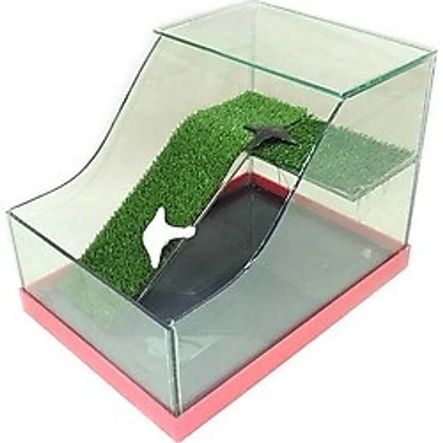 Fatih-Pet Kaplumbağa Bahçesi Cam Akvaryum 22,5x31,5x23 cm Modern Tasarım ve Yüksek Kalite Cam