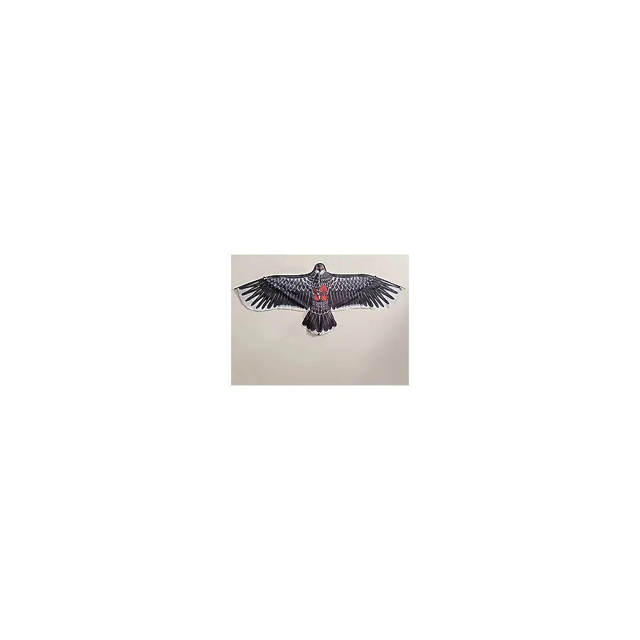 Fiberglass 3d Kartal Eagle Kuş Desenli Uçurtma Oyuncak Geliştirme Parti Eğlenceli Çocuk Oyuncakları