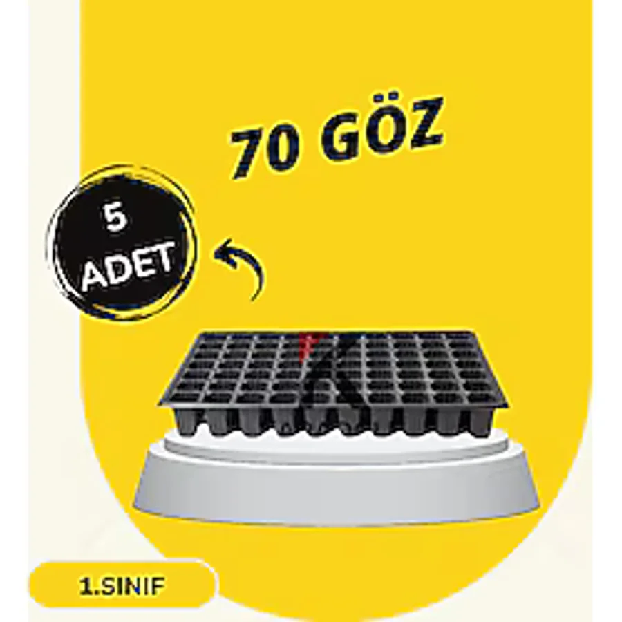 Fide Viyol 5 Adet 70 Göz Fide Viyolü Fidan Altlığı Fidelik