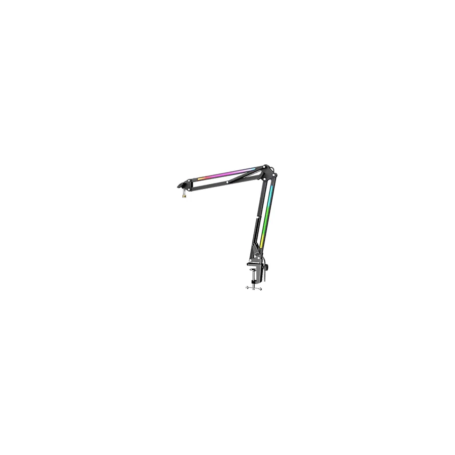 Fifine Ampligame BM38 Rgb Profesyonel Oyuncu Mikrofon Standı - Siyah