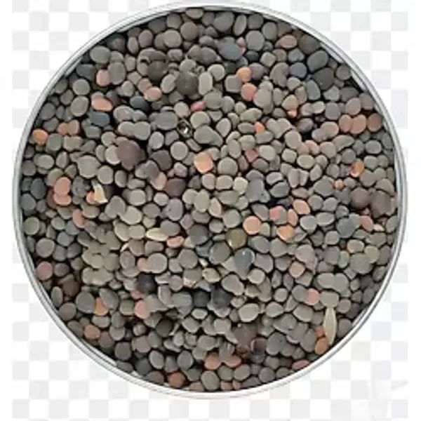 Fig Tohumu 25 Kg Kuş Yemi