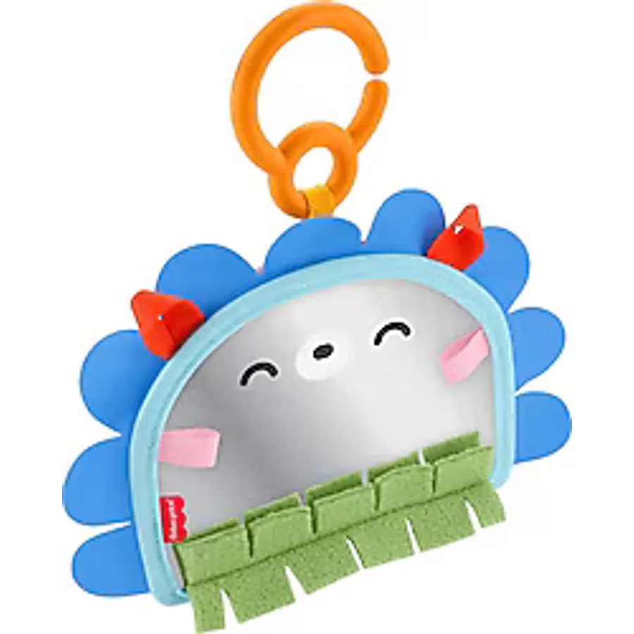 Fisher Price Eğlenceli Kirpi Ayna JHB45