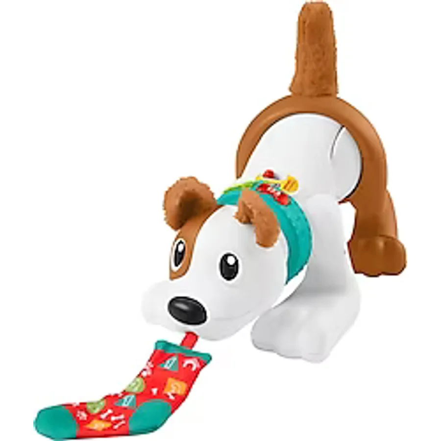Fisher Price Emeklemeyi ve Saymayı Öğreten Köpekçik HHH13