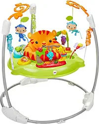 Fisher Price Yağmur Ormanı Jumperoo CHM91