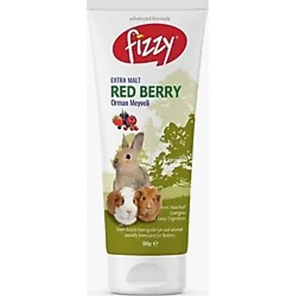 Fizzy Kemirgen Red Berry Paste 100gr