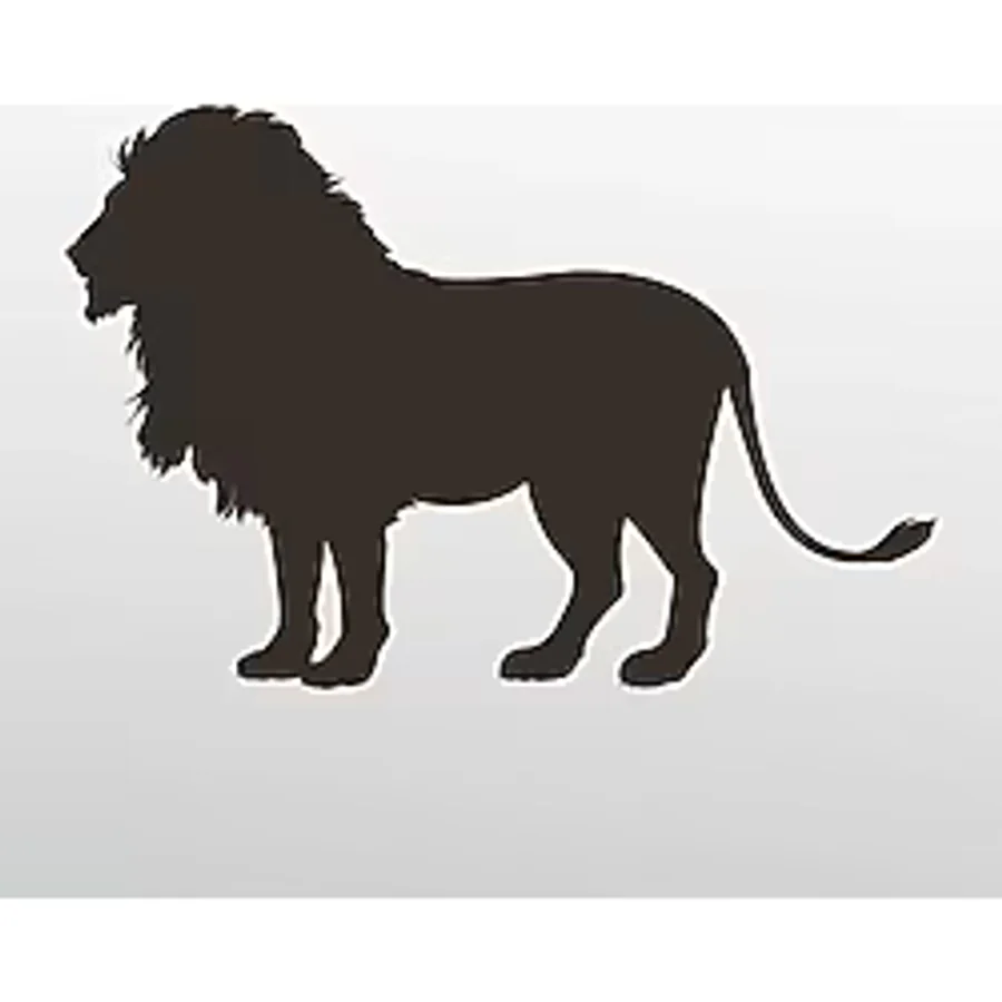 Folyo Sticker Aslan 30cm Uzunluk