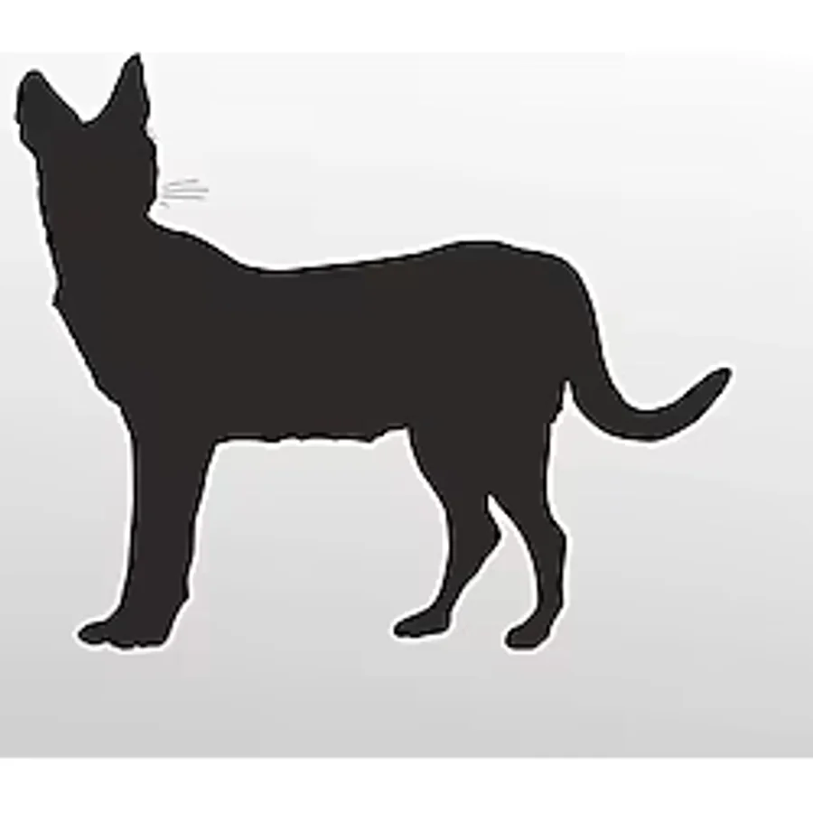 Folyo Sticker Kedi 30cm Uzunluk