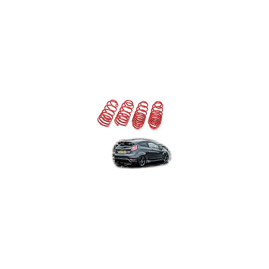 Ford Fiesta spor yay helezon 45mm/45mm 2009-2017 Coil-ex