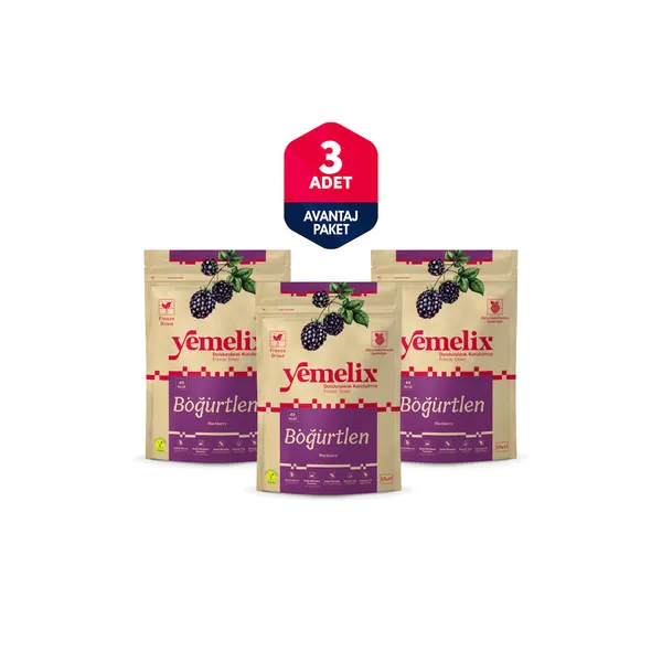Freeze Dried 3'lü Avantaj Paketi Böğürtlen Kuru Meyve Cipsi - Dondurularak Kurutulmuş Böğürtlen 15GX3