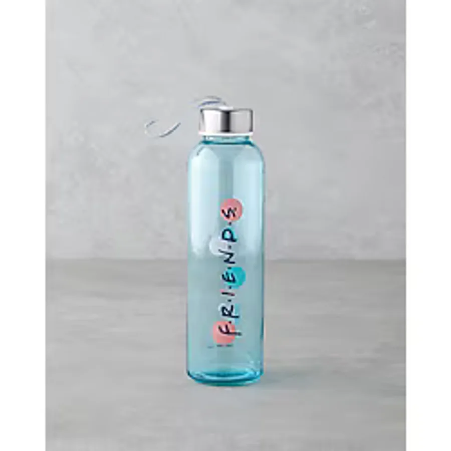 Friends Cam Lisanslı Şişe 500 Ml Renkli
