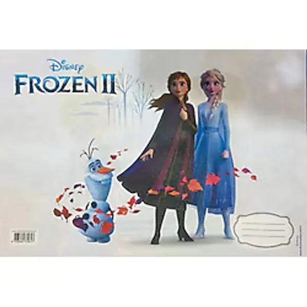 Frozen Beslenme Örtüsü 2'li