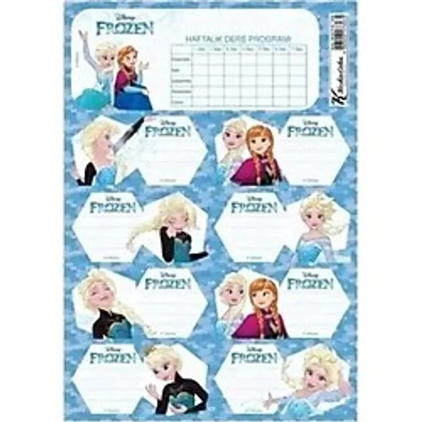 Frozen Ders Prog.okul Etiketi 20 Li