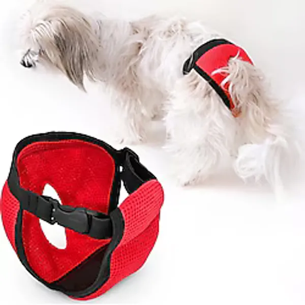Funny And Furry Köpek Regl Külodu -Sanitary Pants - Kırmızı - LARGE