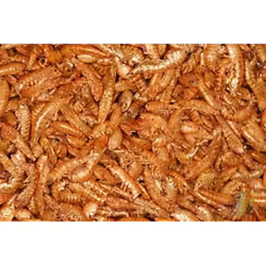 Gammarus (Kurutulmuş Karides) Balık Ve Kaplumbağa Yemi 50gr