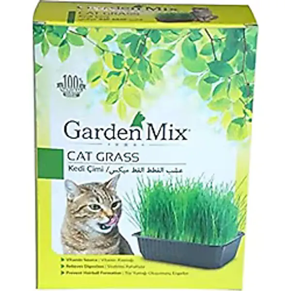 Garden Mix Kutu Kedi Çimi, Kahverengi, 1