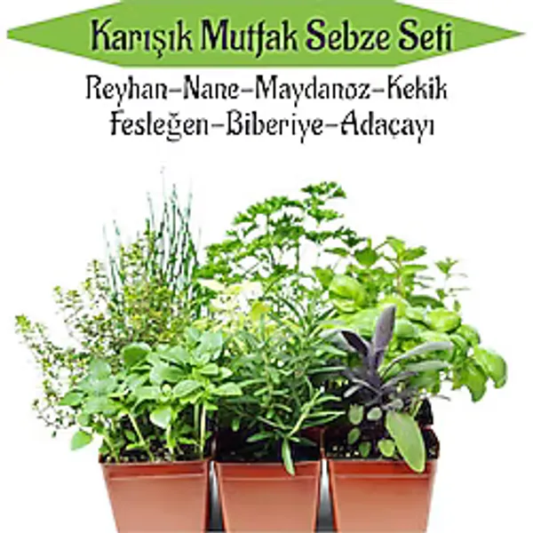 Gardenbox Mutfak Sebze Seti Reyhan Nane Kekik Fesleğen Biberiye Adaçayı Fidesi Toplam 6 Adet