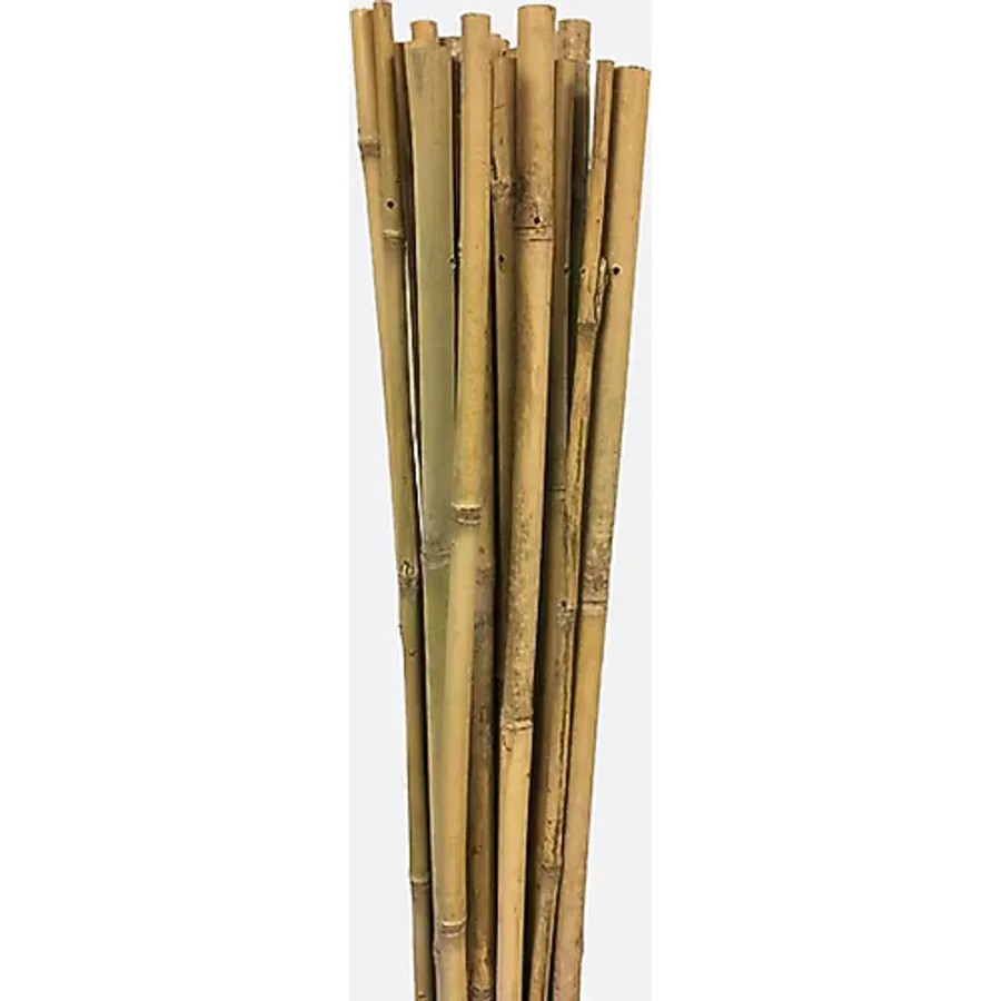 Gardener Bambu Bitki Destek Çubuğu 240 cm