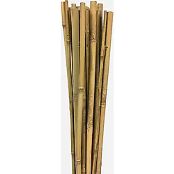 Gardener Bambu Bitki Destek Çubuğu 90 cm