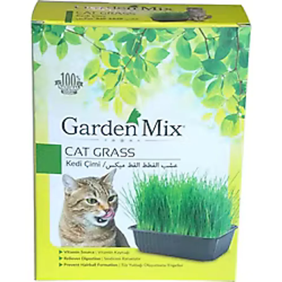 Gardenmix Büyük Kutu Kedi Çimi