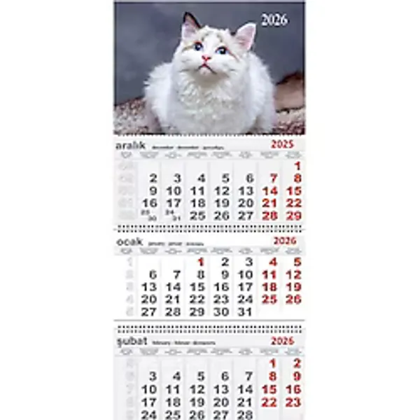 Gezginler Kırtasiye 2026 Yılı Gemici Takvimi Duvar Tipi Askılı Beyaz Kedi