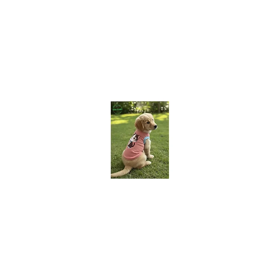 Gobo Yumuşacık Şeker Pembe Kedi ve Köpek Kıyafeti Elbisesi Farklı Modeller - XS, S, M, L Beden