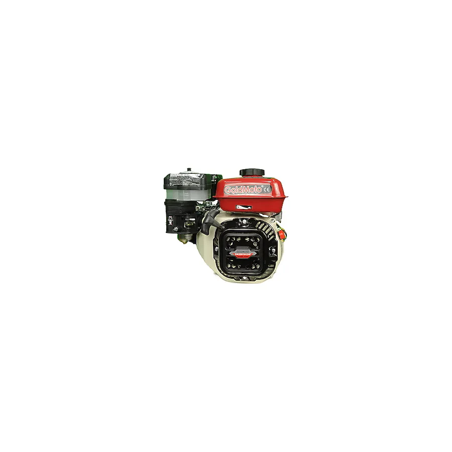GoldMoto GM200K19 6.5 hp İpli Benzinli Makine Motoru