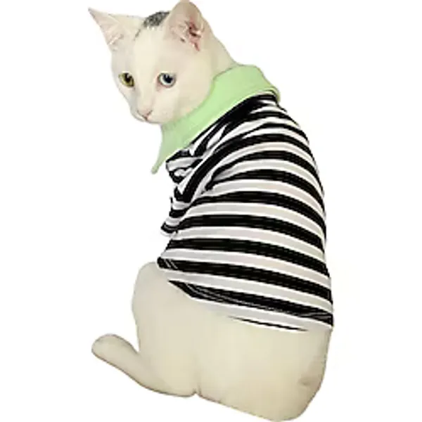 Grass Hopper Stripe Polo Yaka Tişört Kedi Kıyafeti Kedi Elbisesi