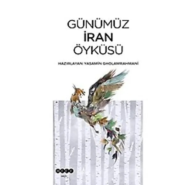Günümüz İran Öyküsü