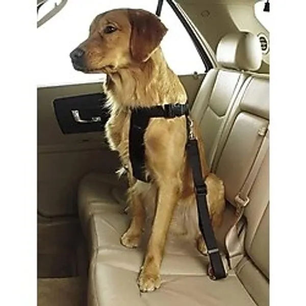 Gy Atelier Tineke Evcil Hayvan Araç Emniyet Kemeri Kedi Köpek Araba Oto Tasması Oto Aksesuarları (Pembe)