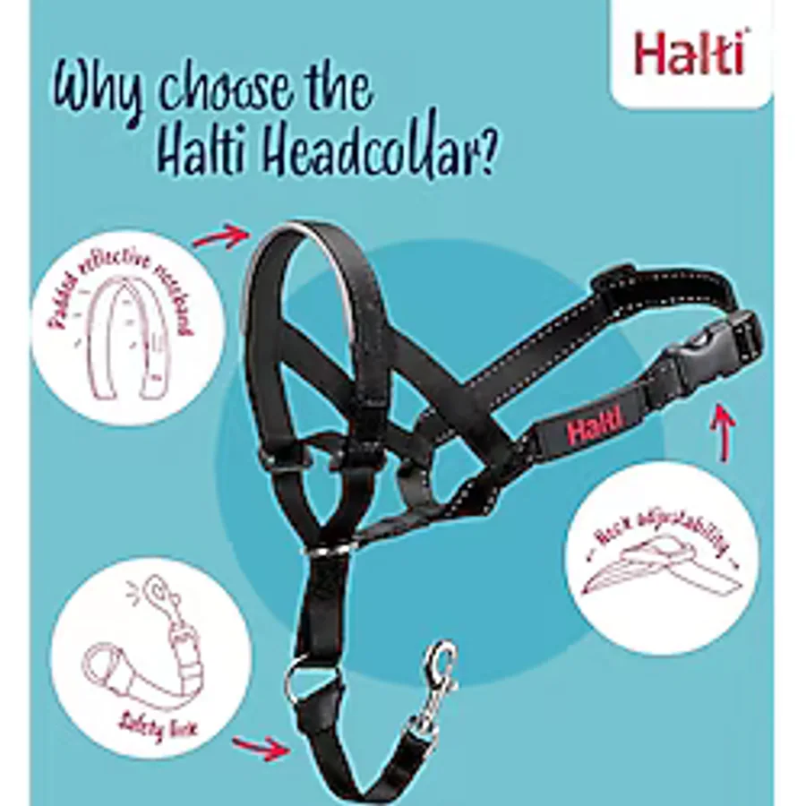 Halti Headcollar, Siyah, Boyut 1