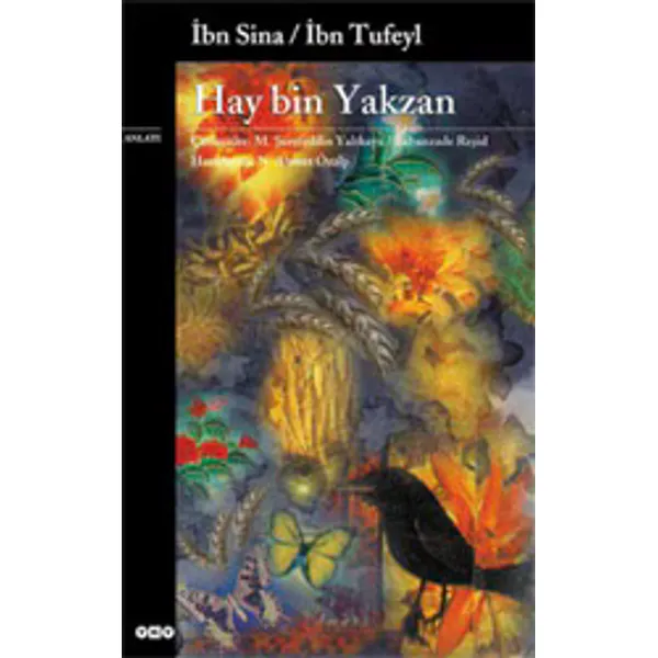 Hay Bin Yakzan - İbn Tufeyl