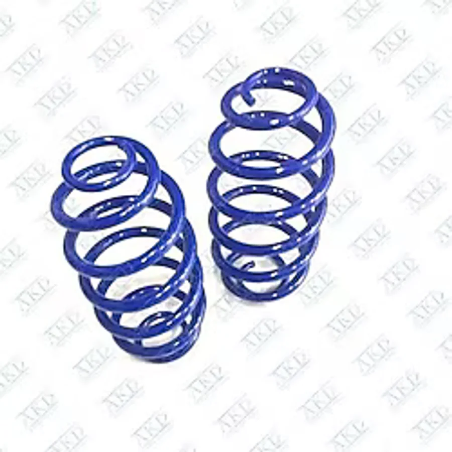 Helezon Yayı Arka Takım Combo C 424203 Akd Op111111