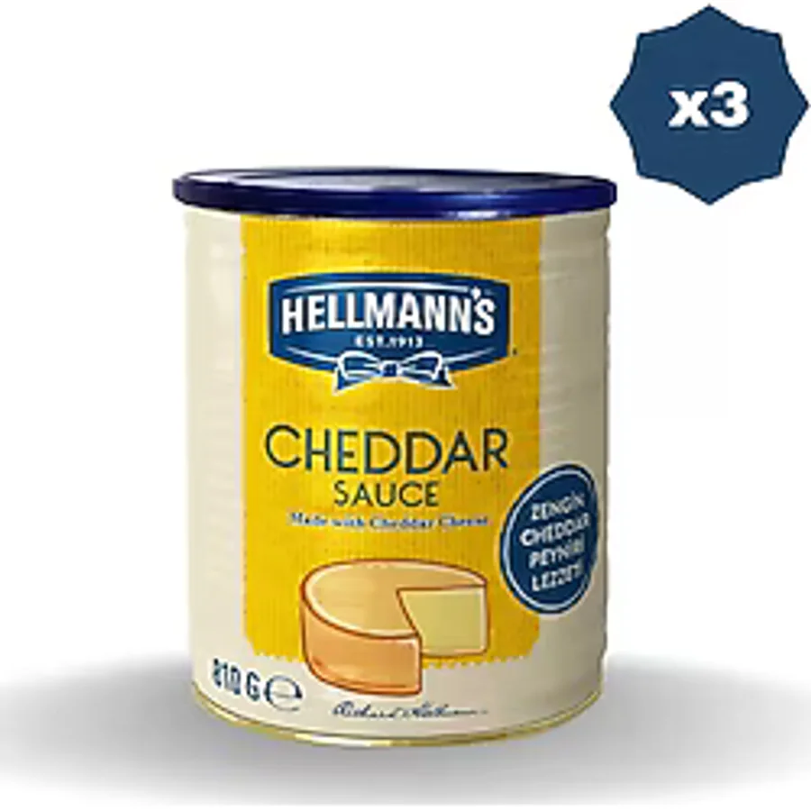 Hellmann's HELLMAN'S FS CHEDDAR SOS 810 GR X 3 ADET